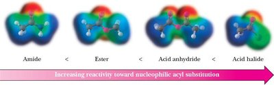 Molecular orbital depiction of reactivity order