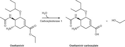 Oseltamivir ester structure