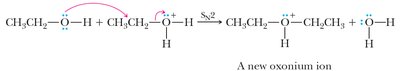 Step 2: Nucleophilic displacement in acid-catalyzed ether synthesis
