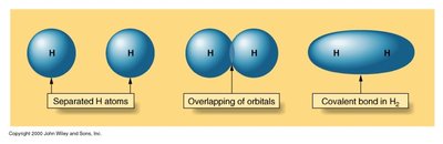 Space-filling model of butanol