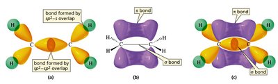 Ethene ball-and-stick model