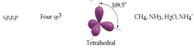 Linear geometry of sp hybridization