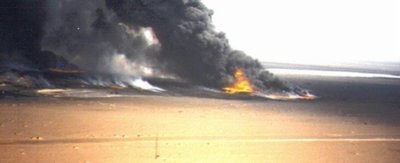 Pollution and fire, representing organic pollutants