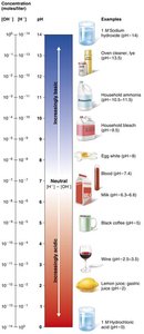 The pH scale and representative substances
