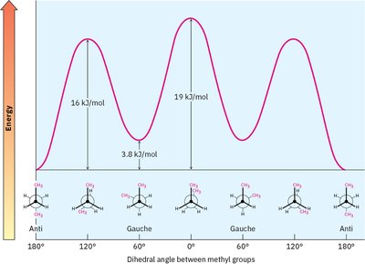 Energy diagram for butane conformations