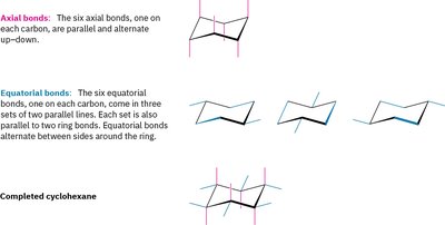 Axial and equatorial bonds
