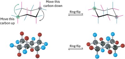 Cyclohexane ring flip