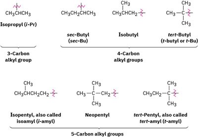 Common alkyl groups