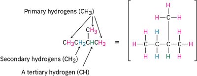 Primary, secondary, tertiary hydrogens