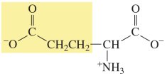 Aspartate structure