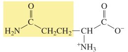 Lysine structure