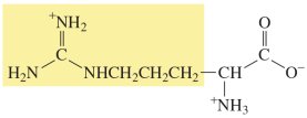 Arginine structure