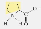 Proline structure