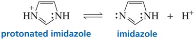 Imidazole structure