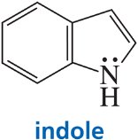 Indole structure