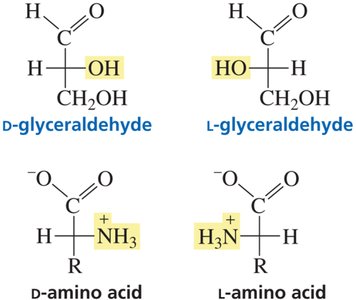 D- and L- amino acids and sugars