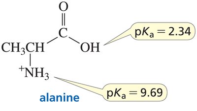 Alanine pKa and pI calculation
