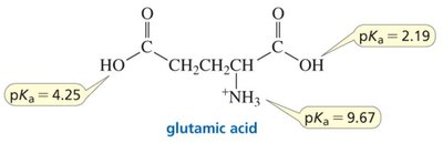 Glutamic acid pKa and pI calculation