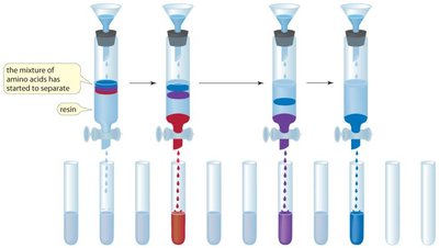 Ion-exchange chromatography process