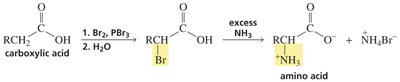 HVZ reaction for amino acid synthesis
