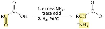 Reductive amination for amino acid synthesis