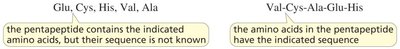 Peptide sequence notation
