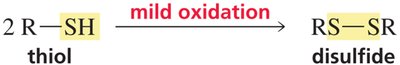 Mild oxidation of thiol to disulfide
