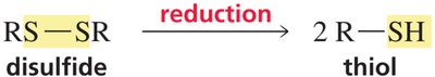 Reduction of disulfide to thiol