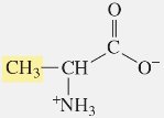 Alanine structure