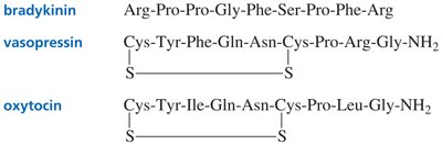 Structures of peptide hormones