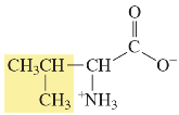 Valine structure