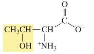 Threonine structure