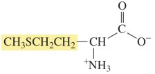 Methionine structure
