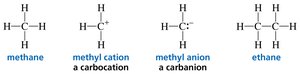 Carbon forms 4 bonds