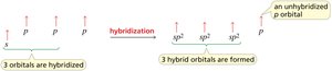 sp2 hybridization
