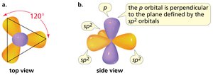 sp2 orbitals in the same plane