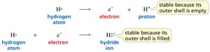 Hydrogen atom losing or gaining an electron