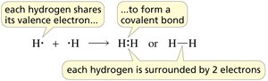 Hydrogen atoms sharing electrons