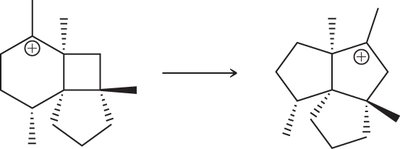 Carbocation rearrangement mechanism