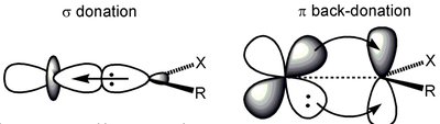 Illustration of sigma donation and pi back-donation