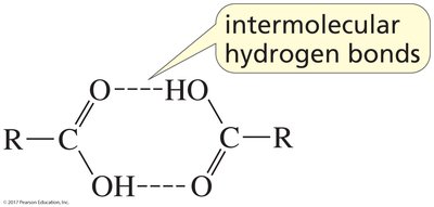 intermolecular hydrogen bonds in carboxylic acids