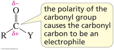 the polarity of the carbonyl group causes the carbonyl carbon to be an electrophile