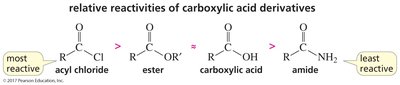 relative reactivities of carboxylic acid derivatives