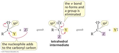 nucleophilic attack on a carbonyl