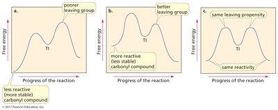 reaction coordinate diagrams for nucleophilic acyl substitution