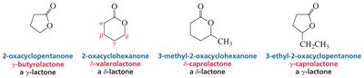 examples of lactones