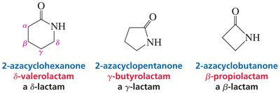 examples of lactams