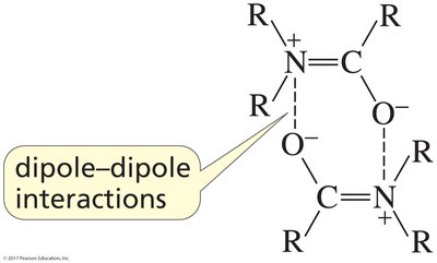 dipole-dipole interactions in amides