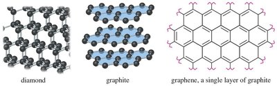 Fullerene (C60) and carbon nanotube