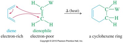 Diels–Alder reaction mechanism: diene and dienophile forming cyclohexene